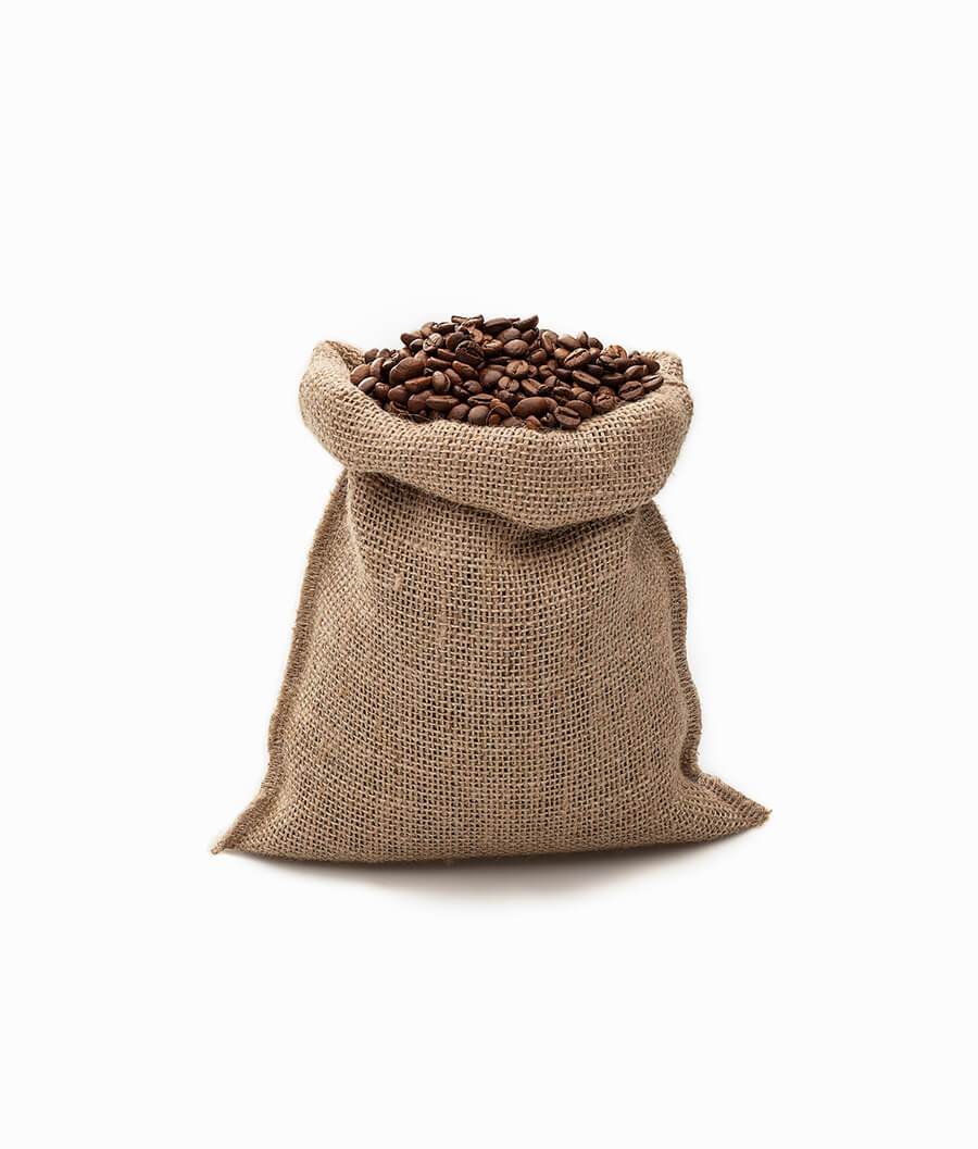 Maragogipe Coffee Bean