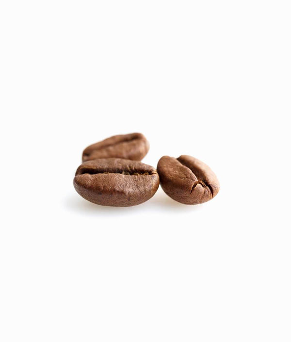 Jamaican Coffee Bean